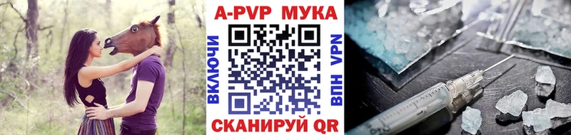 Купить закладки  Устюжна  A-PVP крисы CK 