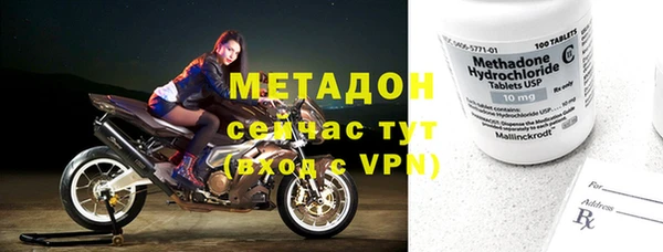прущие грибы Михайловск