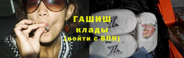 прущие грибы Михайловск