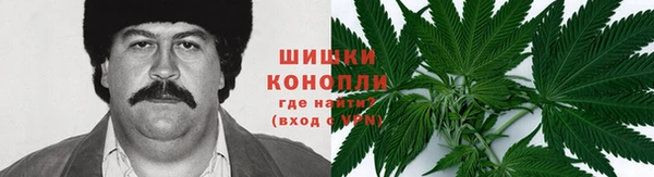 прущие грибы Михайловск