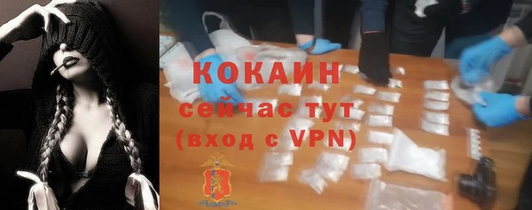 прущие грибы Михайловск