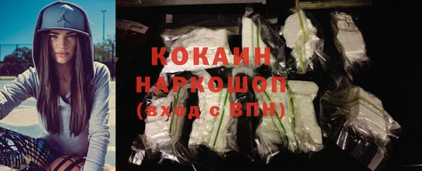 прущие грибы Михайловск