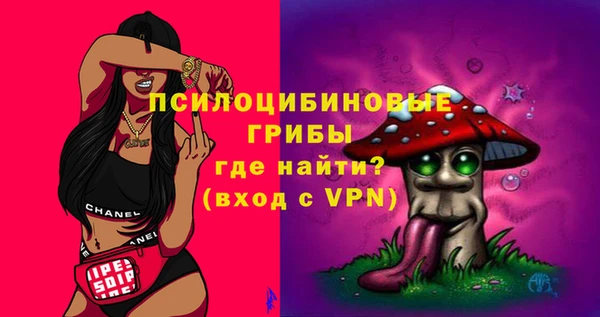 прущие грибы Михайловск