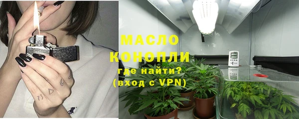 прущие грибы Михайловск