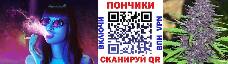 Конопля планчик  Купить закладки  Устюжна 